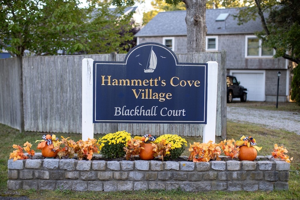 4 Blackhall Ct Property Photo 5