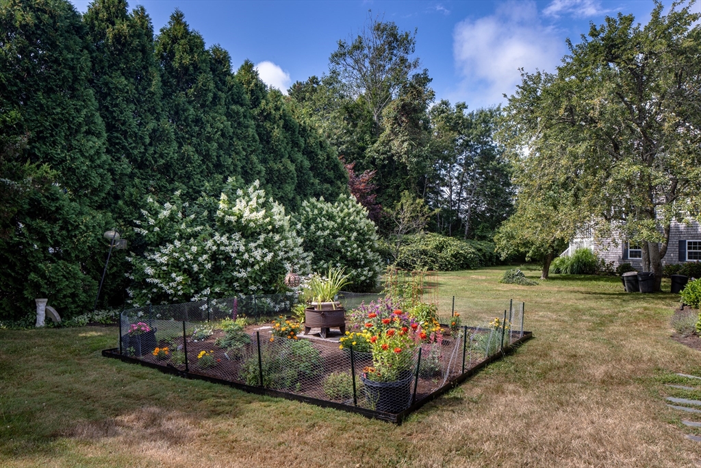 4 Blackhall Ct Property Photo 35