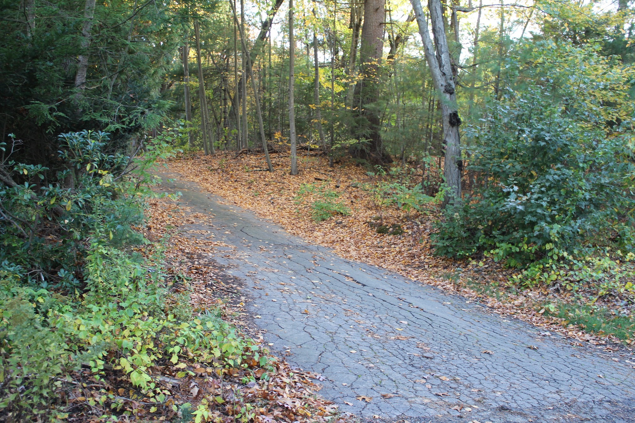Lot A North Street Property Photo 1