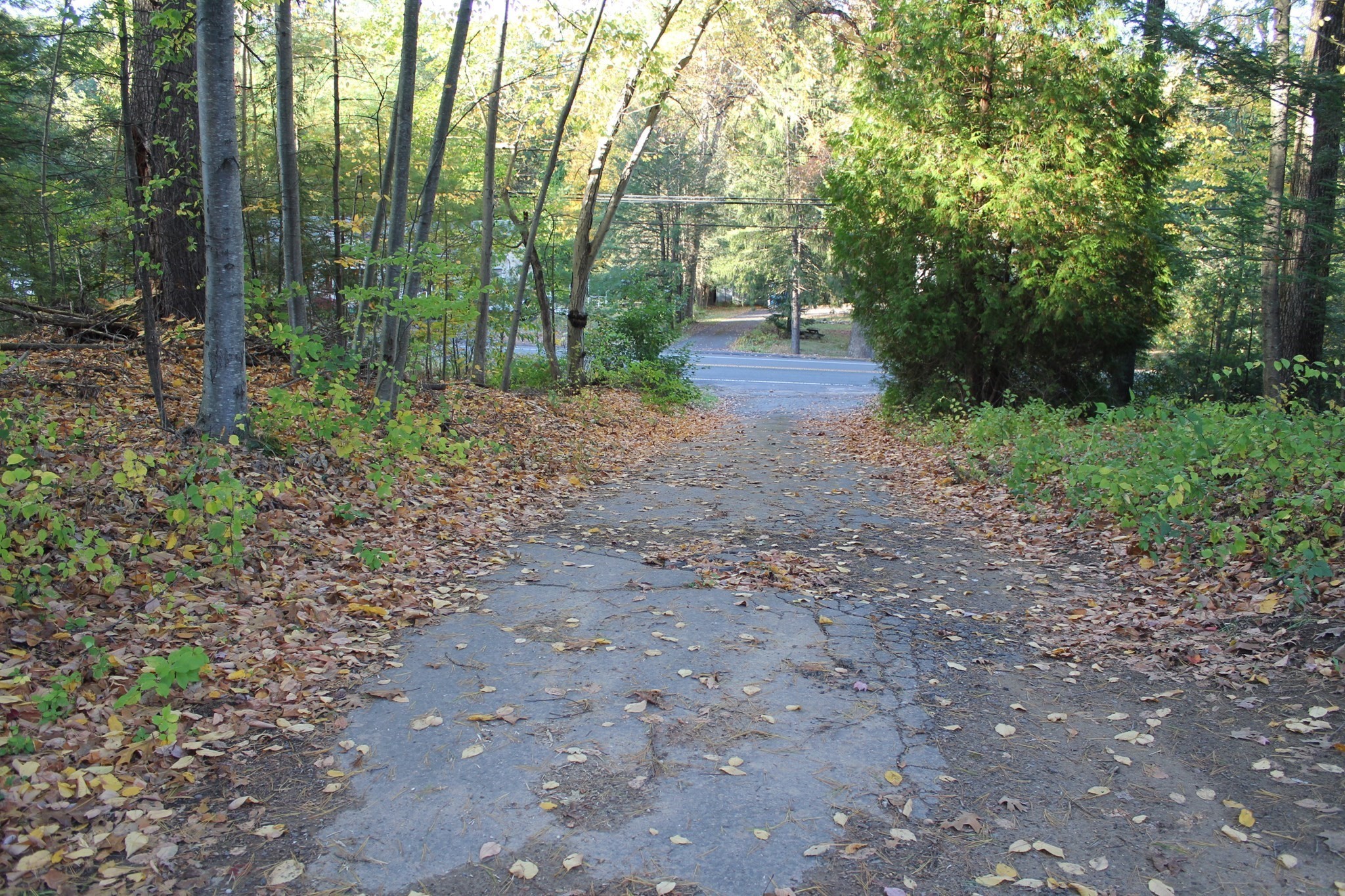 Lot A North Street Property Photo 3