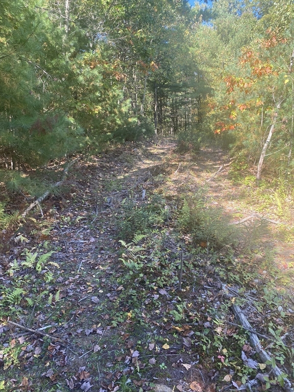 87-12 State St Property Photo 4