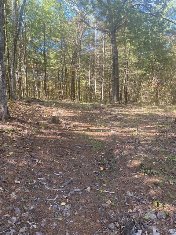 87-12 State St Property Photo 5