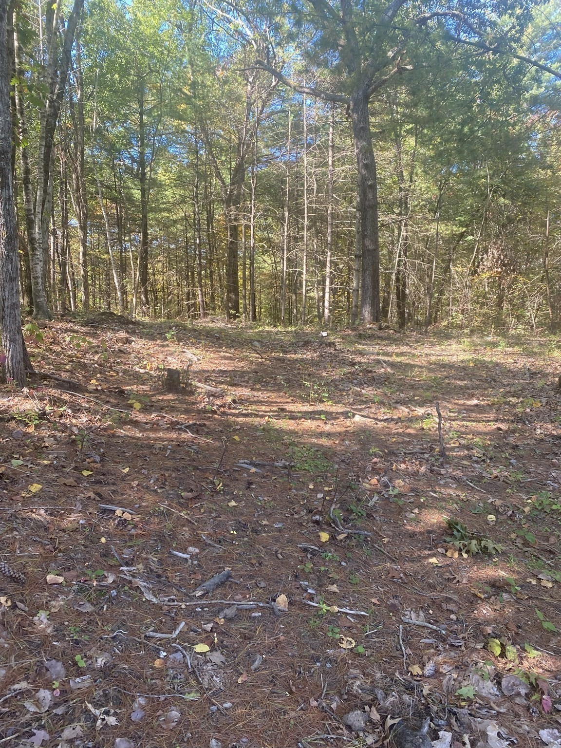 87-12 State St Property Photo 5