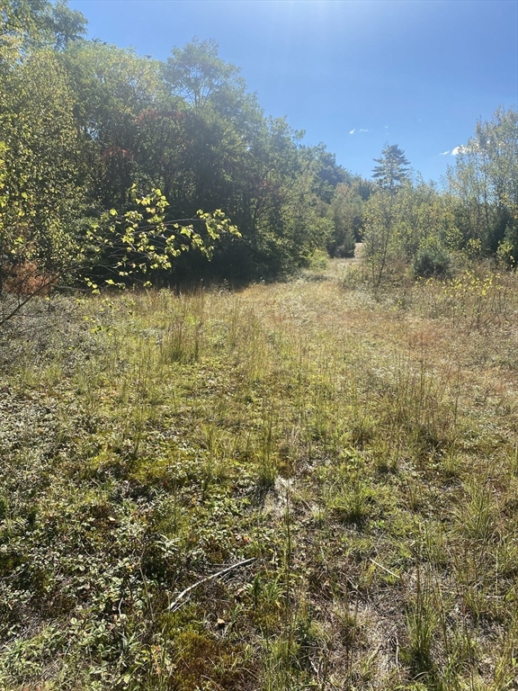 87-12 State St Property Photo 14