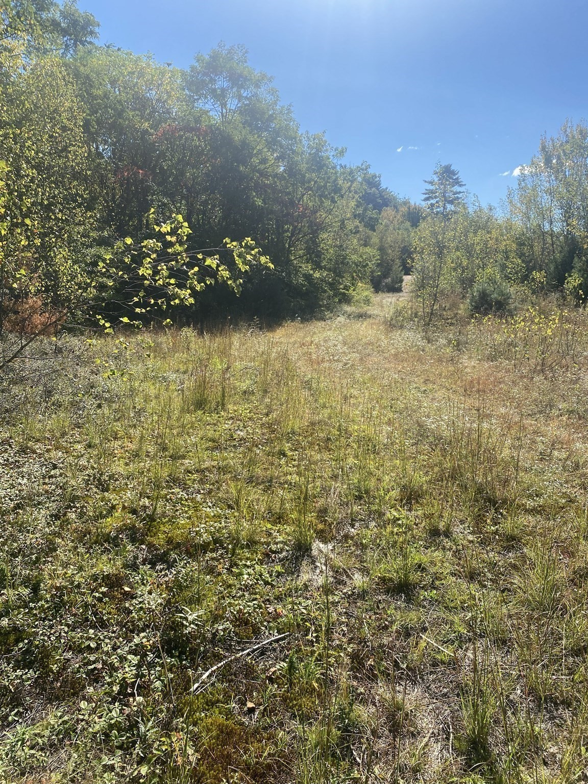 87-12 State St Property Photo 14