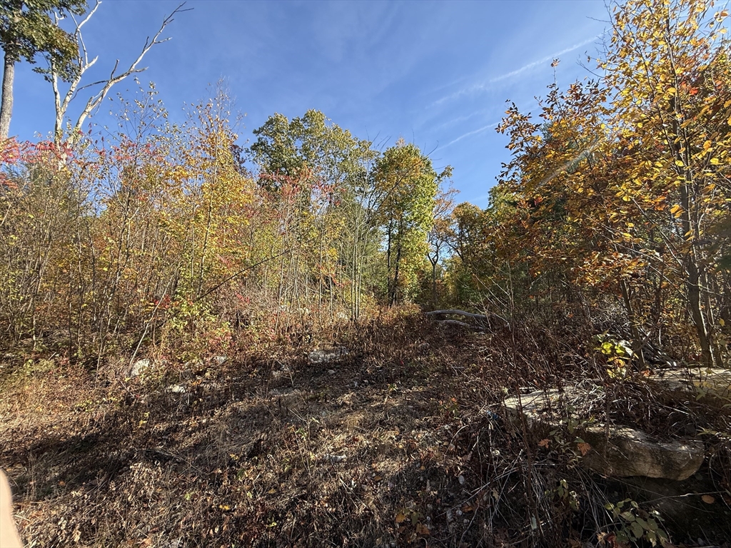Lot 1 Amherst Rd. Property Photo 2