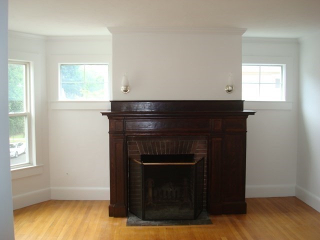 5-7 Abbott Street Property Photo 7