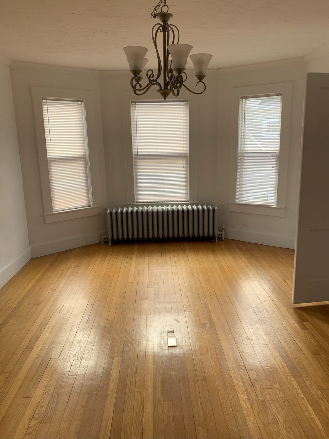 5-7 Abbott Street Property Photo 24