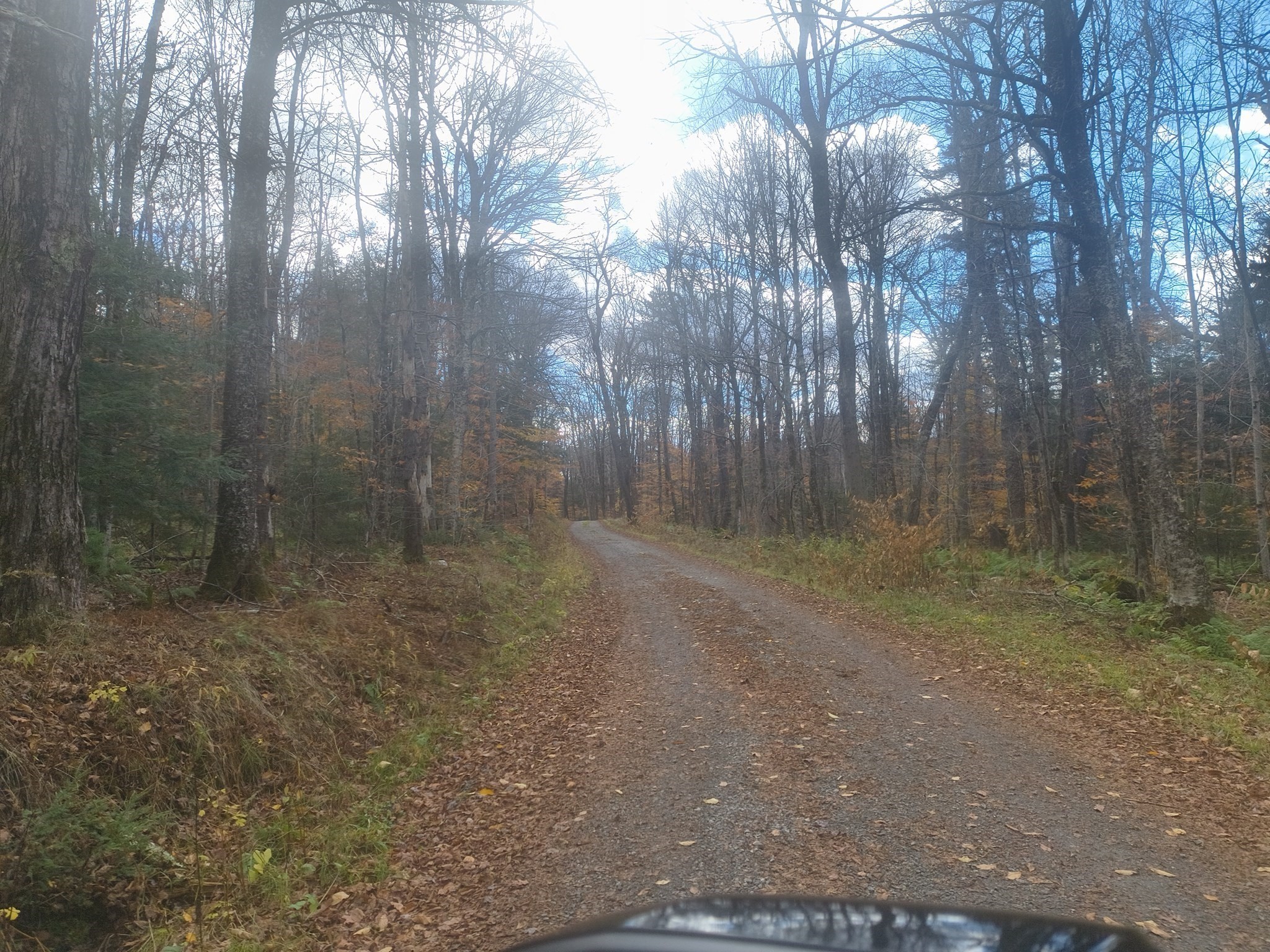 Lot 18 Pierce Road Property Photo 1