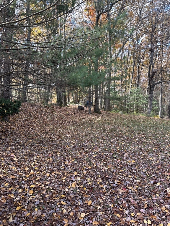 35 Laurel Hill Ln Property Photo 6