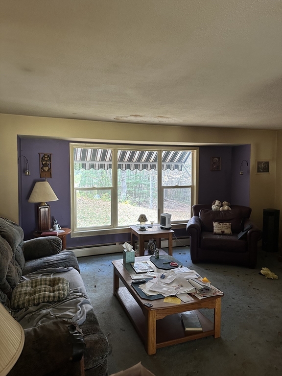 35 Laurel Hill Ln Property Photo 9