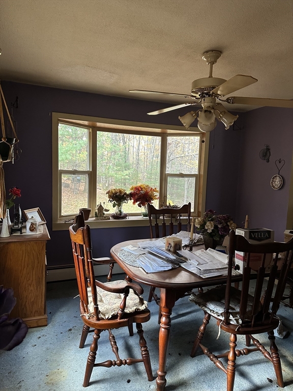 35 Laurel Hill Ln Property Photo 11