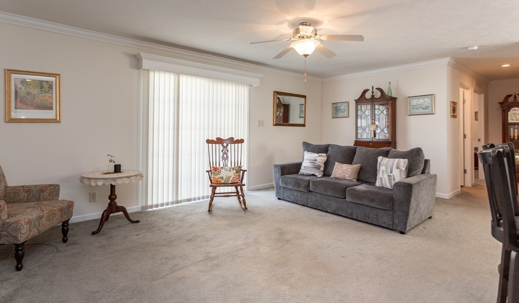37 Bluejay Street Property Photo 13