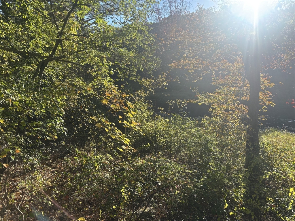 9 Howarth Rd Property Photo 42