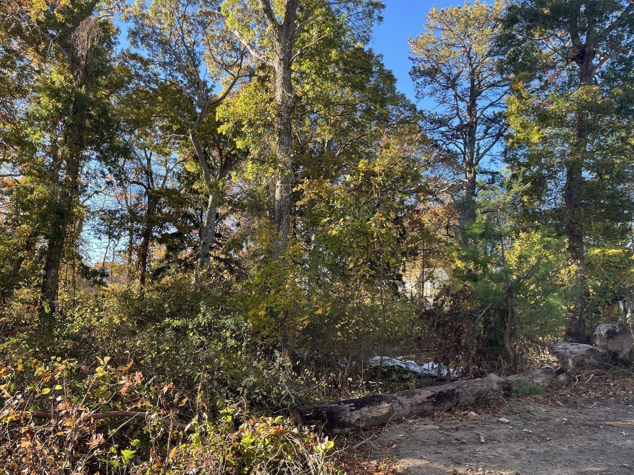 0 Stoneledge Road Property Photo 5
