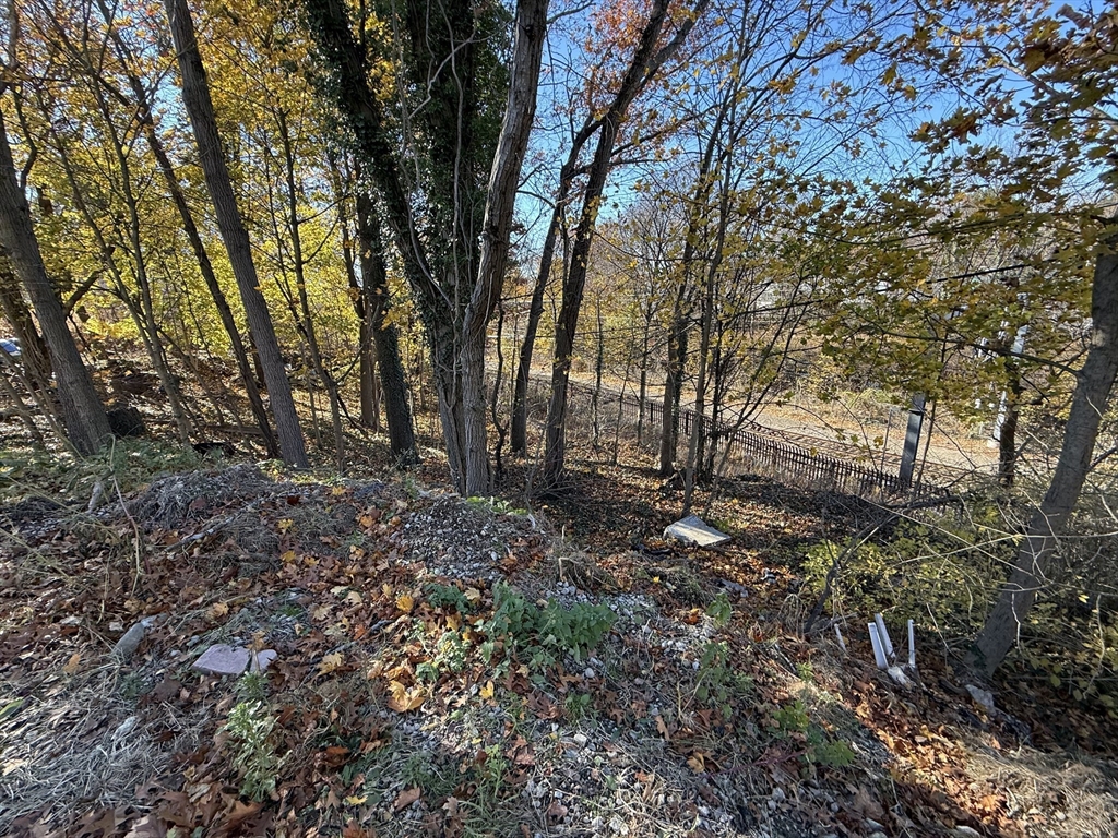 1139 Hyde Park Ave Property Photo 8