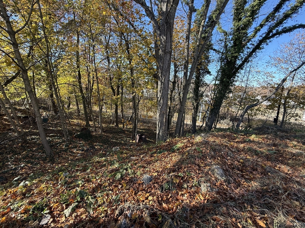 1139 Hyde Park Ave Property Photo 12