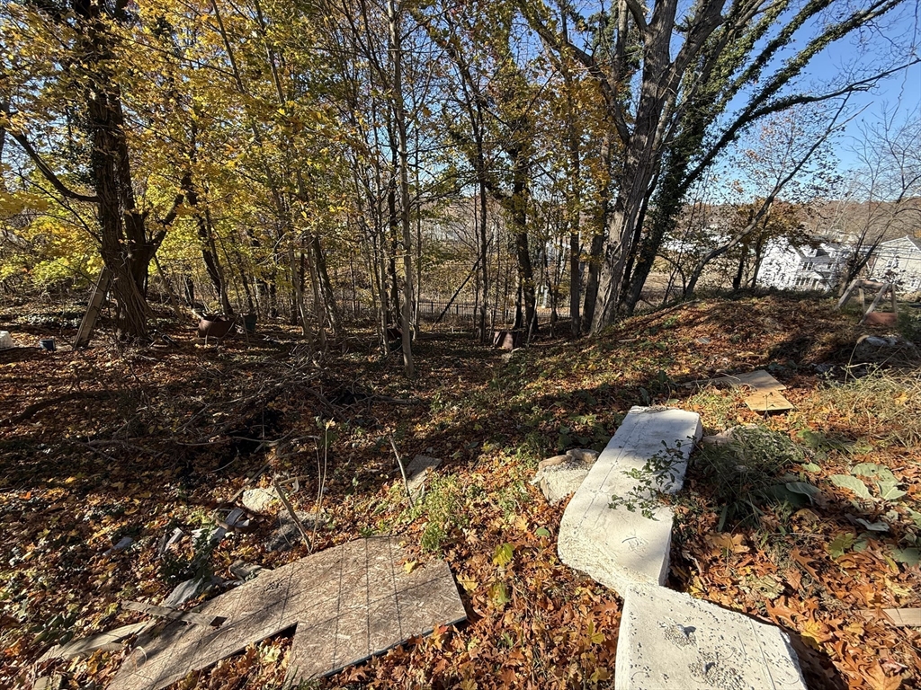 1139 Hyde Park Ave Property Photo 15