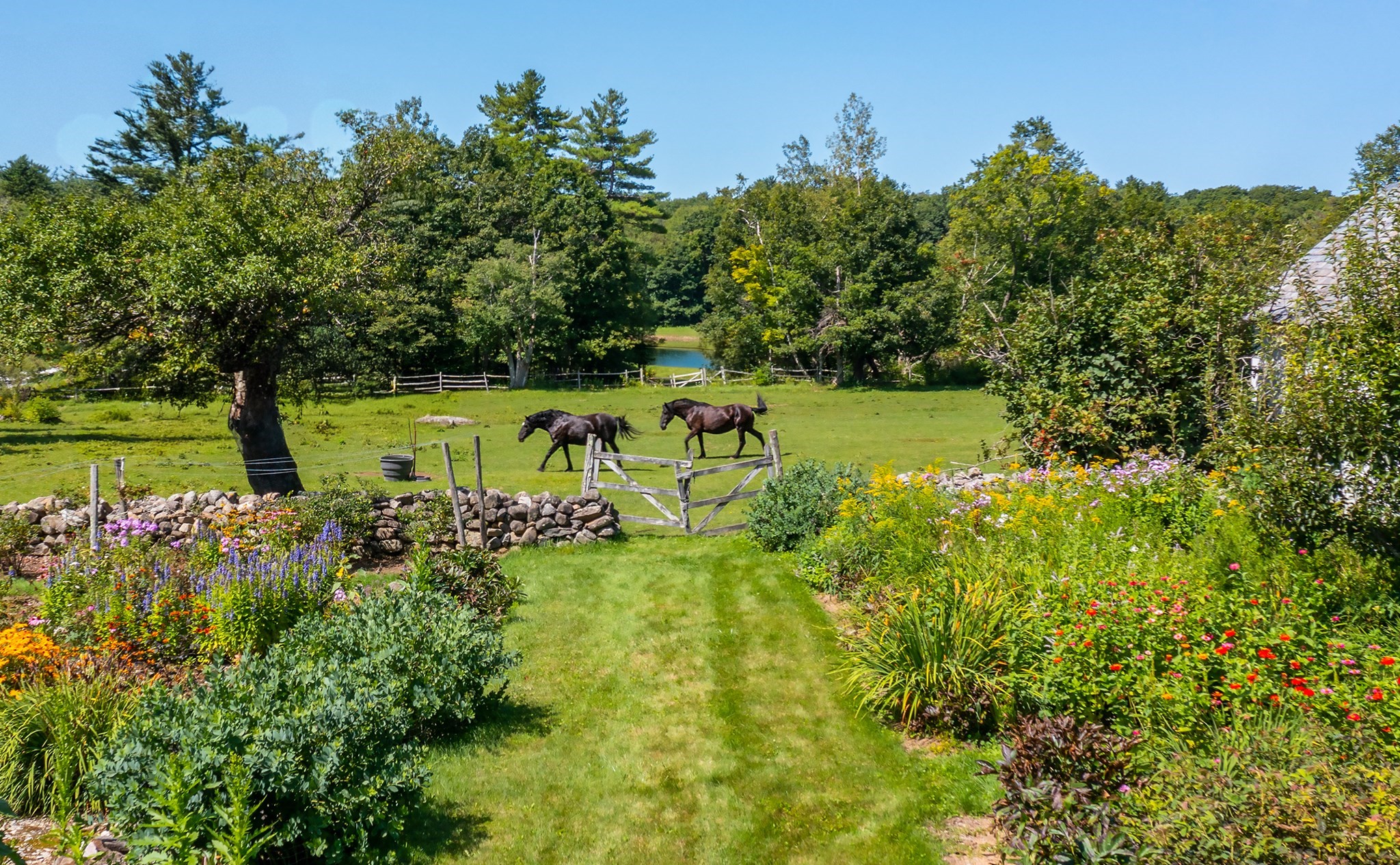 764 East Hill Road Property Photo 3