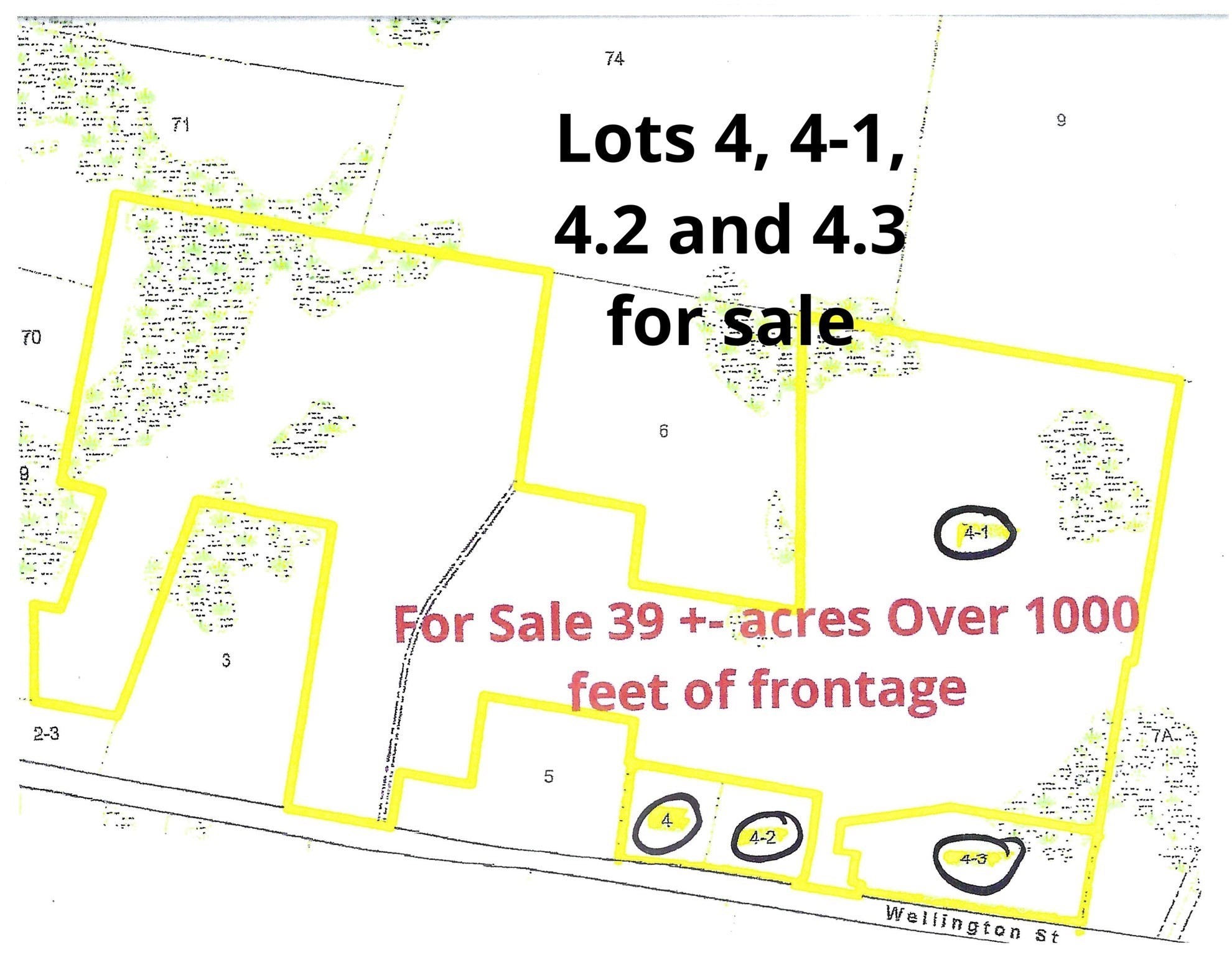 0 Wellington St Property Photo 1