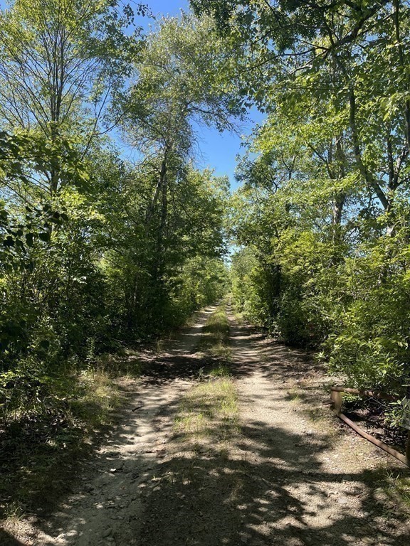 148 Lot 1a Elm Street Property Photo 22