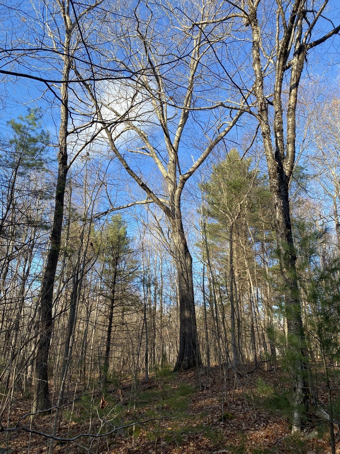 Lot B Brimfield Rd Property Photo 1