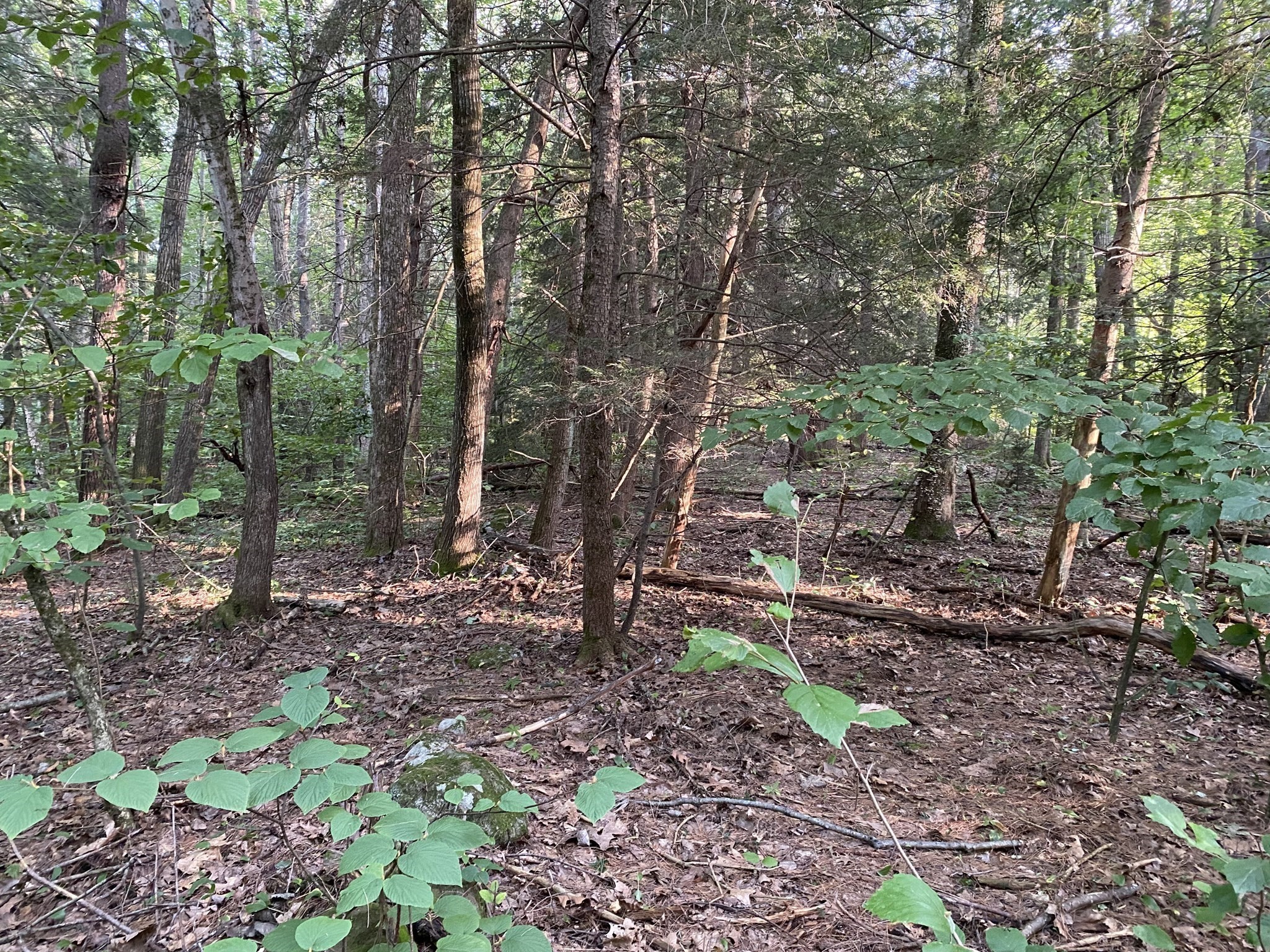 Lot B Brimfield Rd Property Photo 2