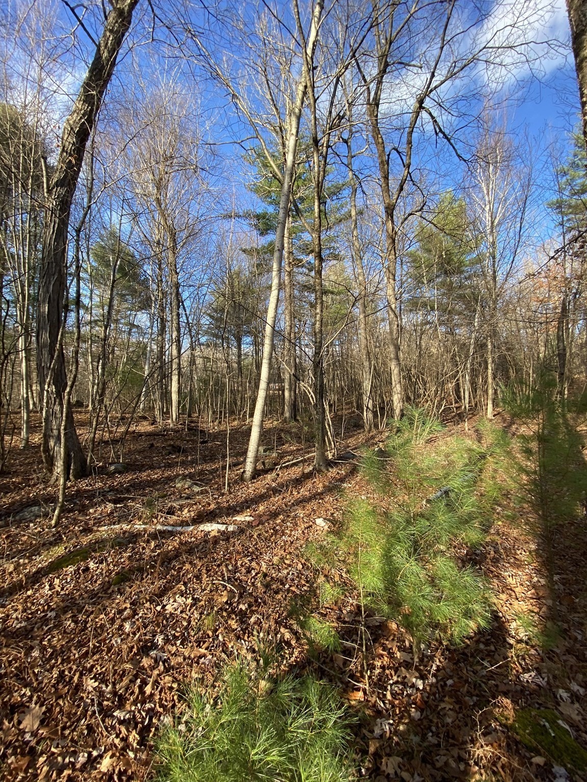 Lot B Brimfield Rd Property Photo 3