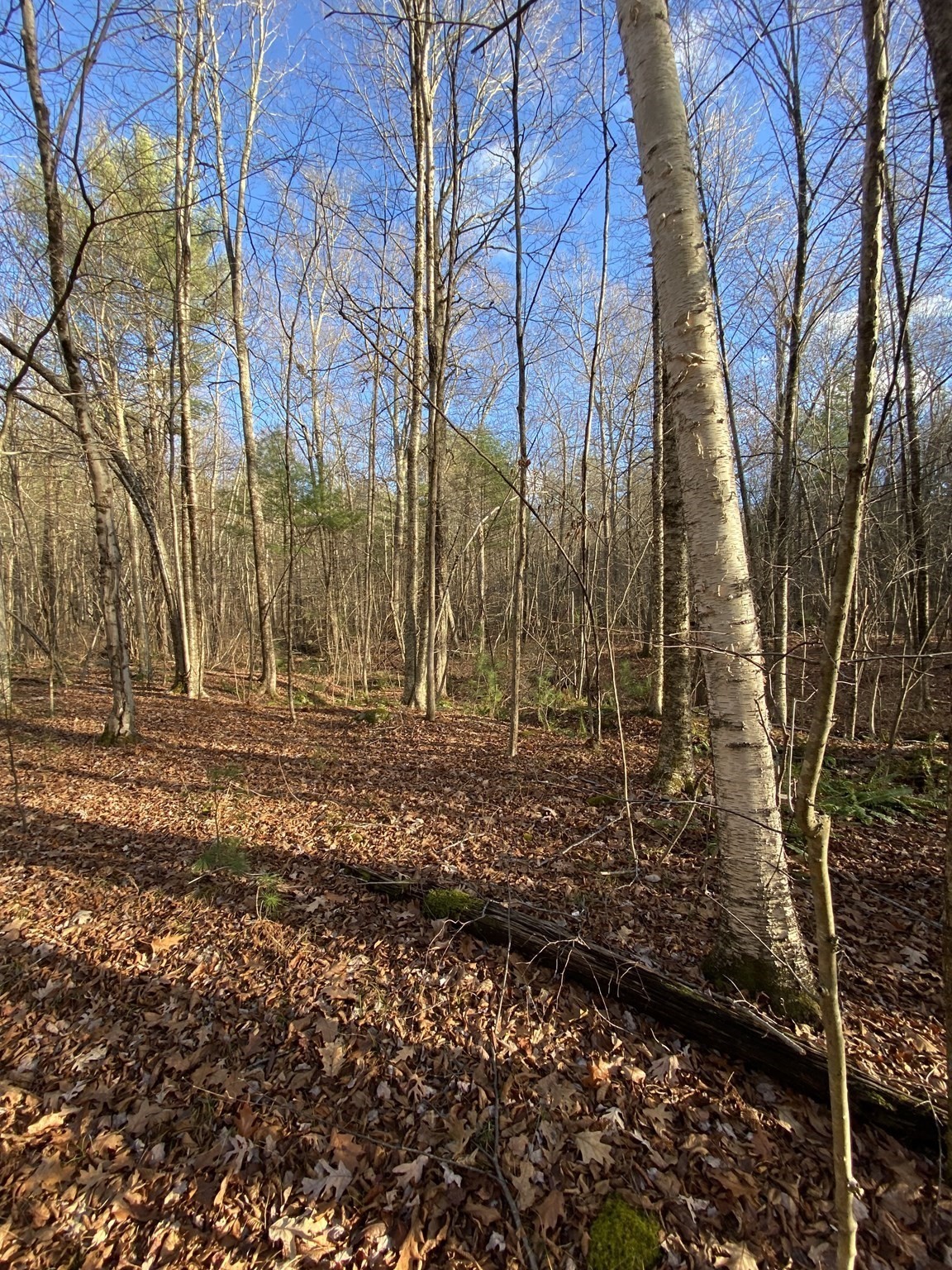 Lot B Brimfield Rd Property Photo 4