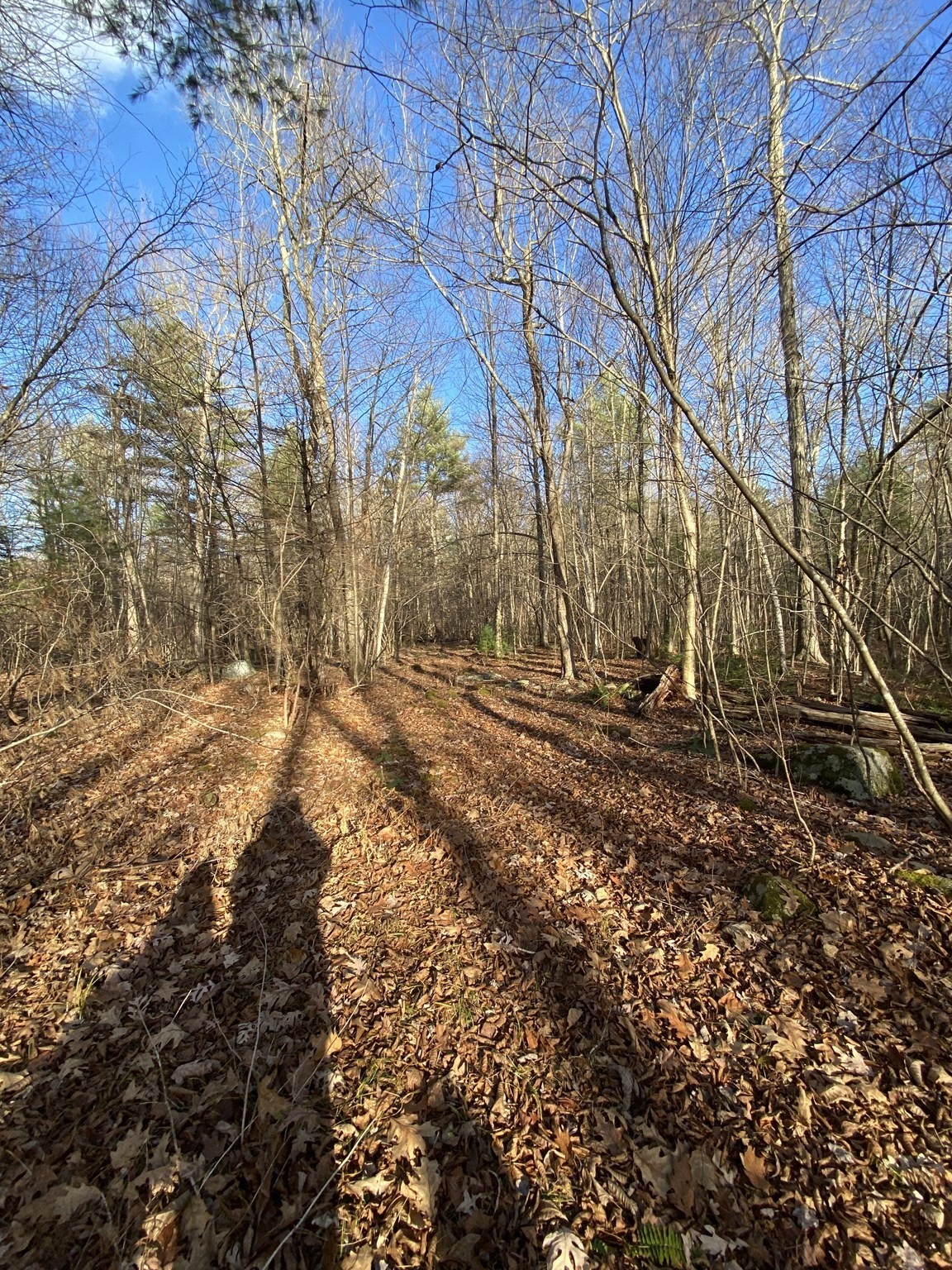 Lot B Brimfield Rd Property Photo 5