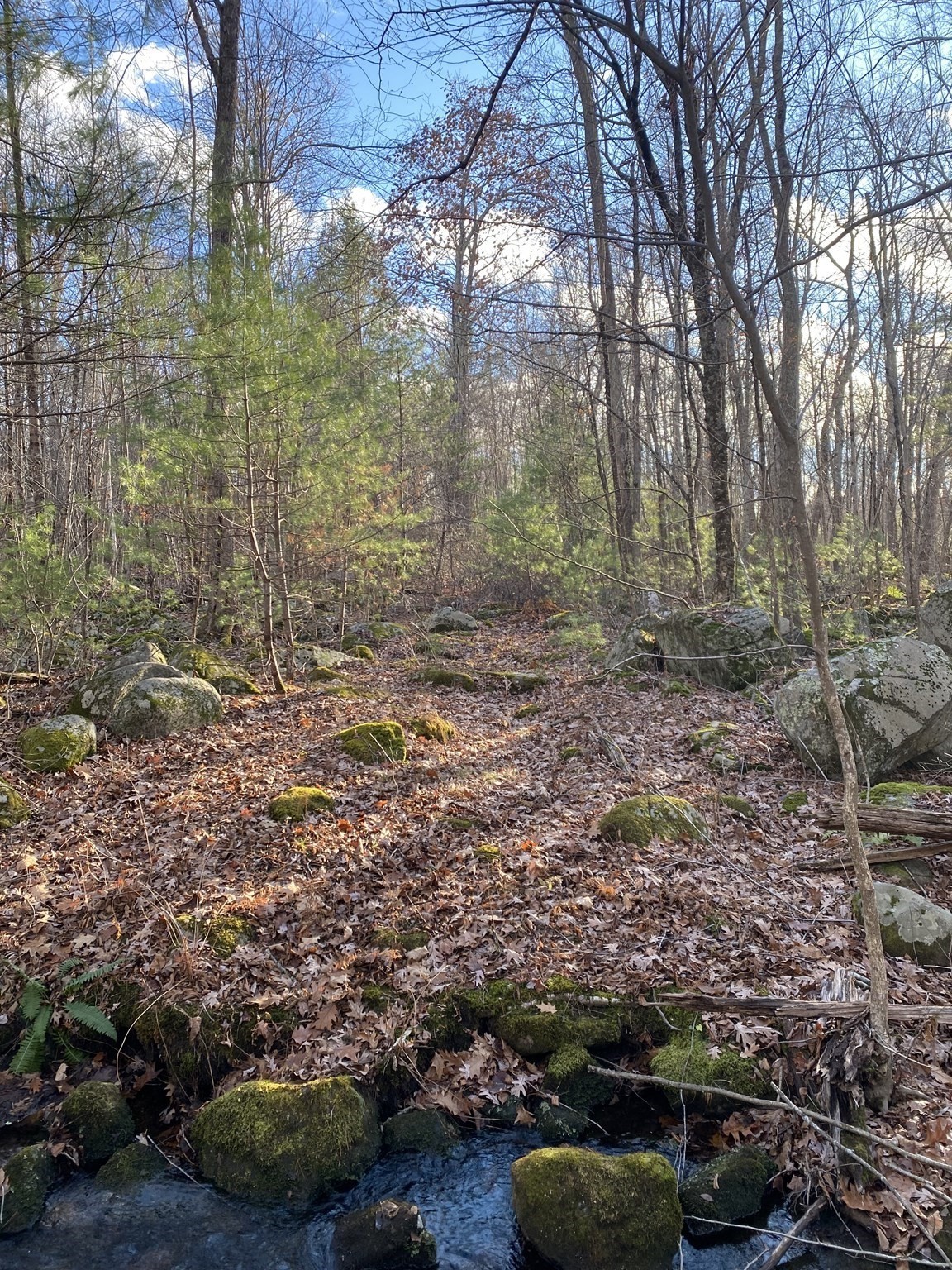 Lot B Brimfield Rd Property Photo 6