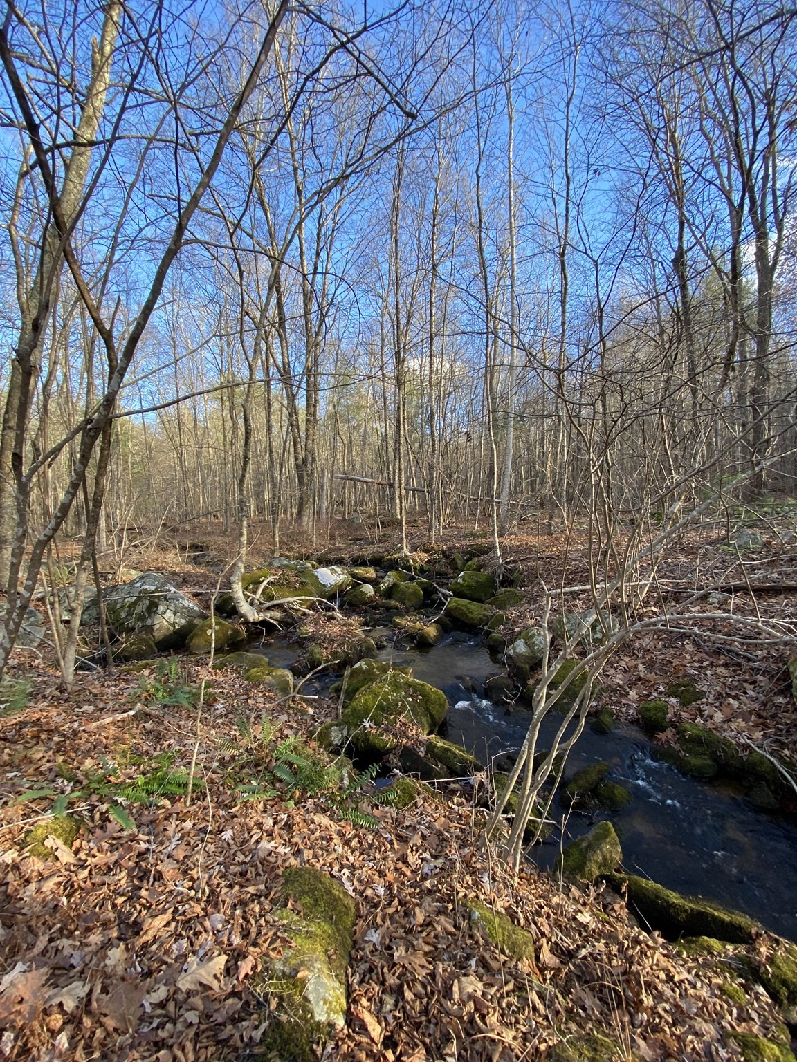 Lot B Brimfield Rd Property Photo 7