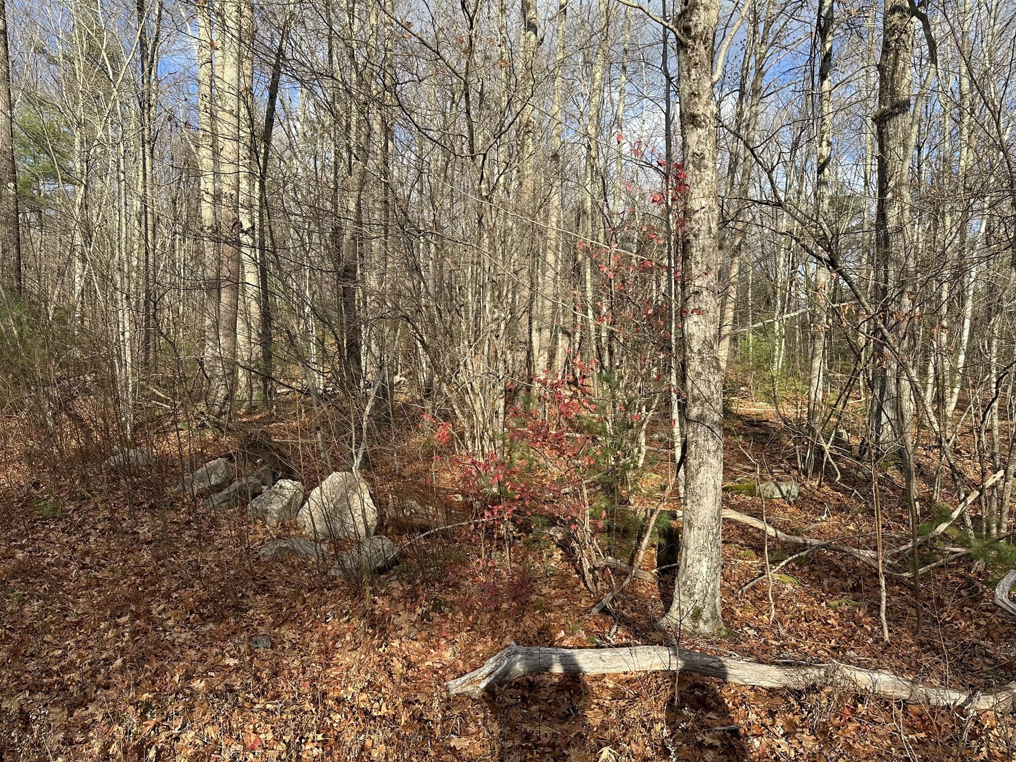 Lot 2 Jourdan Road Property Photo 1