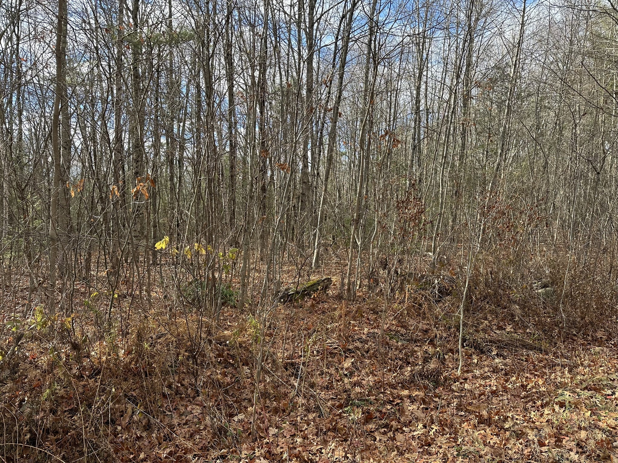 Lot 9 Jourdan Road Property Photo 1