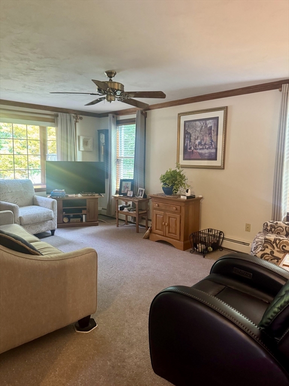 29 Elizabeth Ct Property Photo 9
