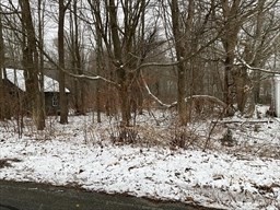 51 Cottage St Property Photo 1