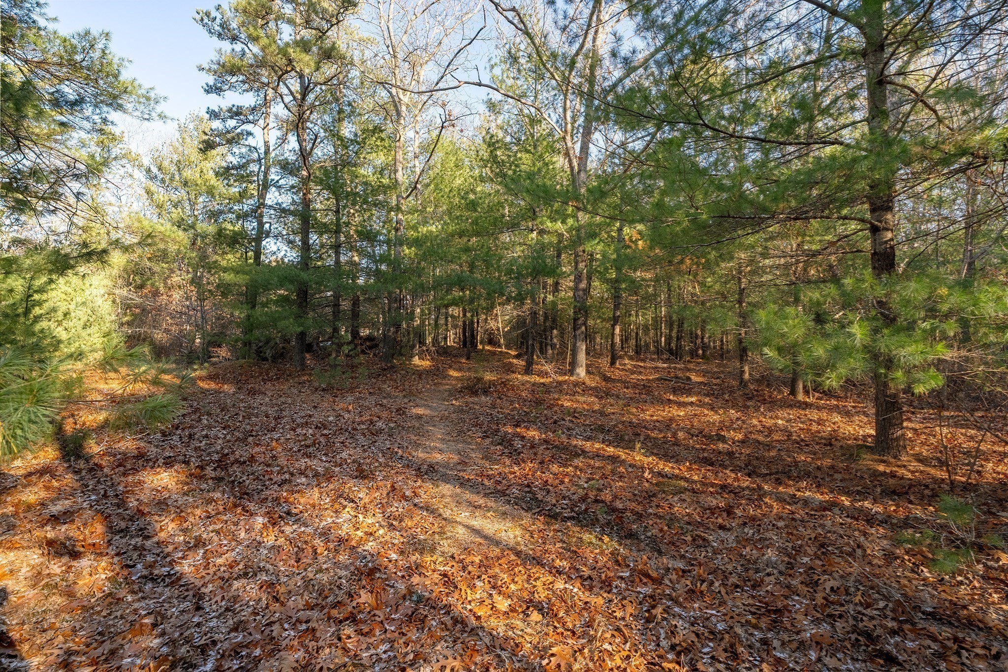 7 Leaman Drive Property Photo 8