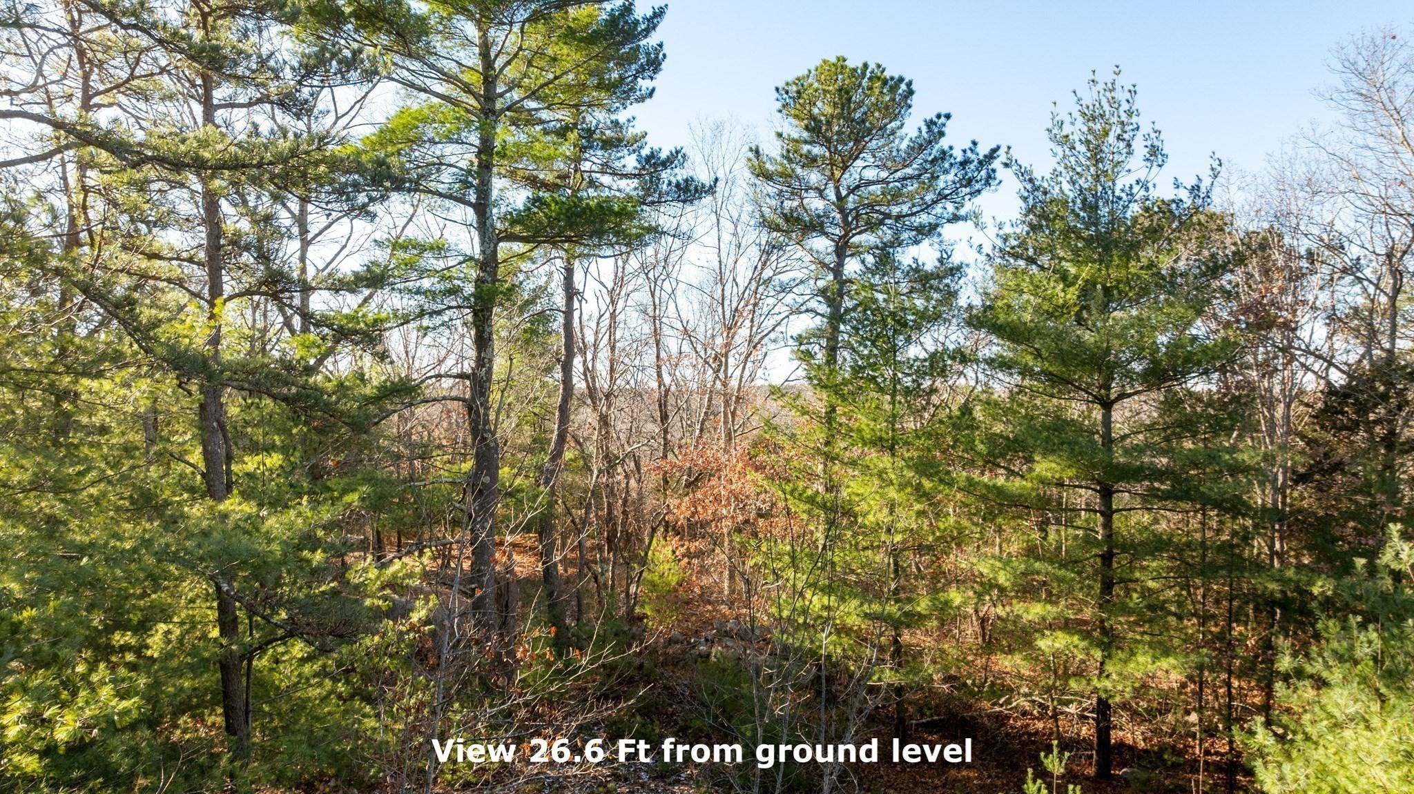 7 Leaman Drive Property Photo 10