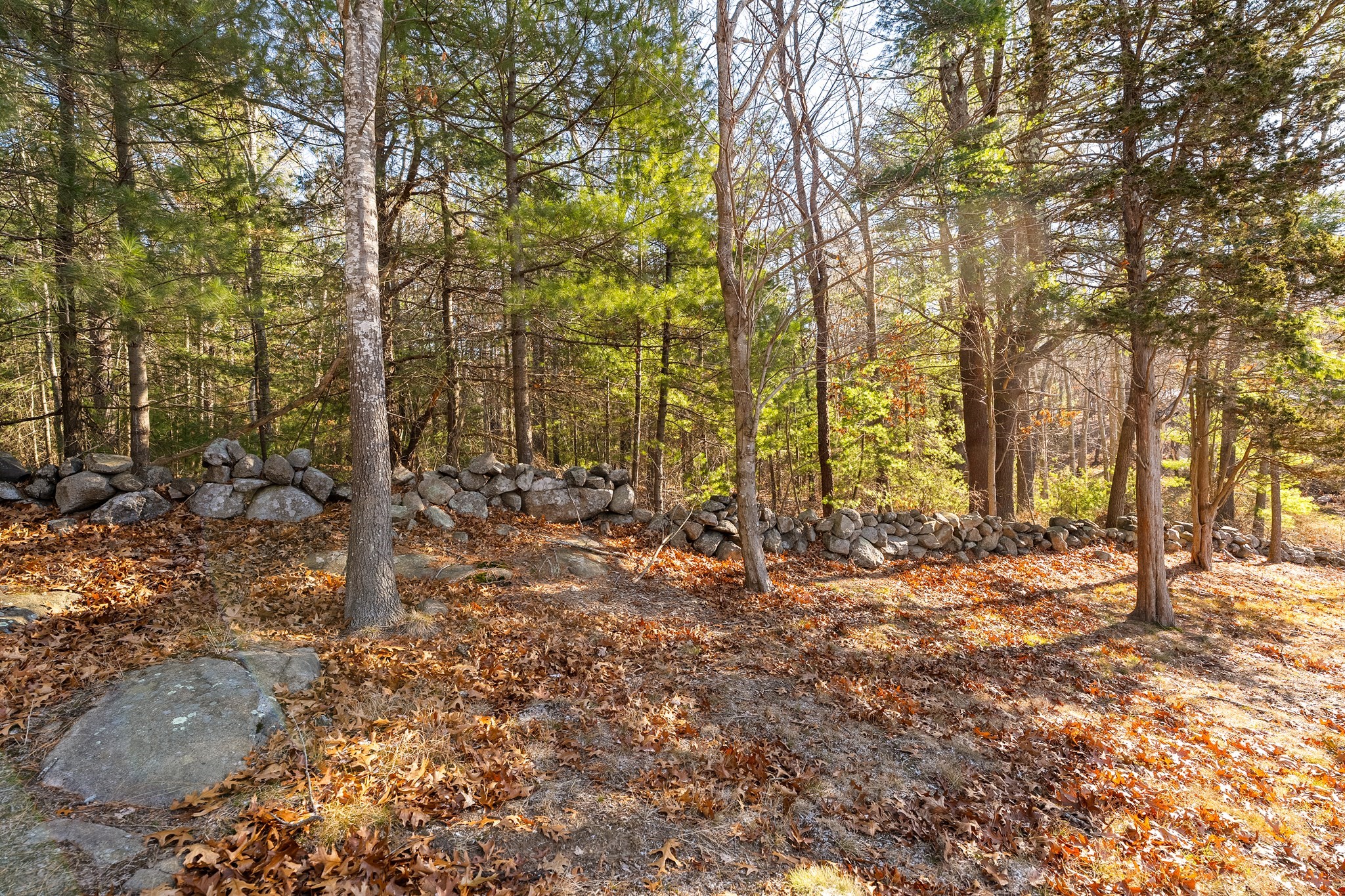 7 Leaman Drive Property Photo 12
