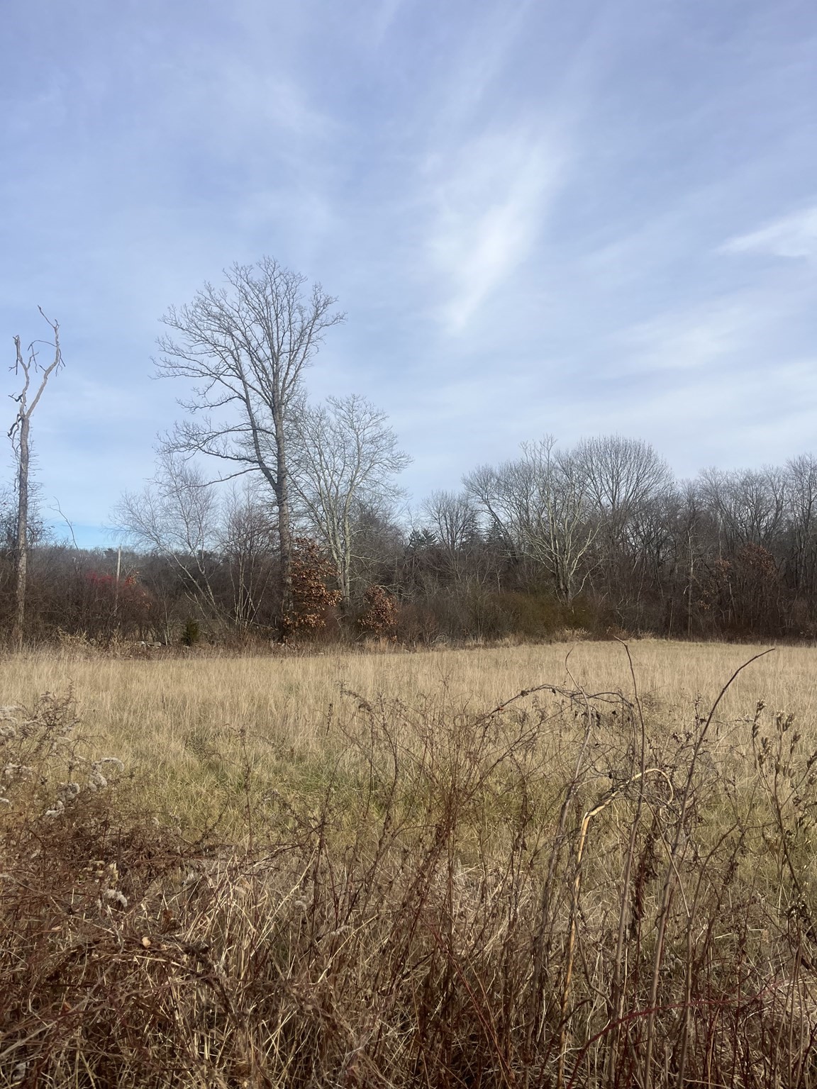 127 Mason Property Photo 1