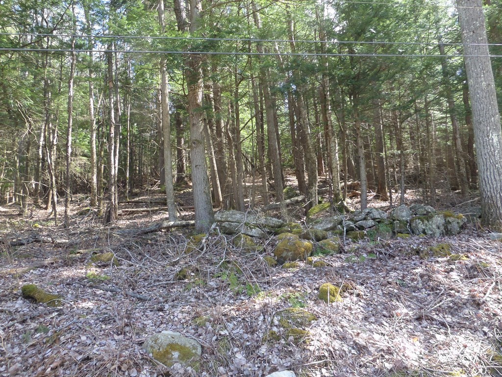Lot 1 Thayer Hill Road Property Photo 1