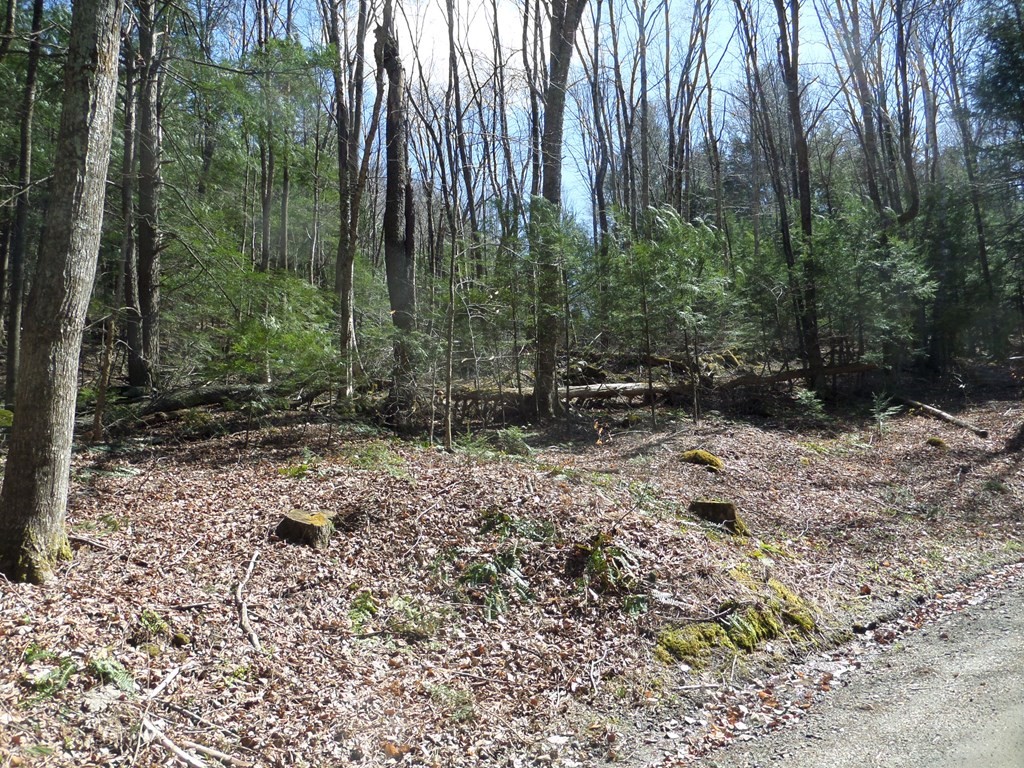 Lot 1 Thayer Hill Road Property Photo 2
