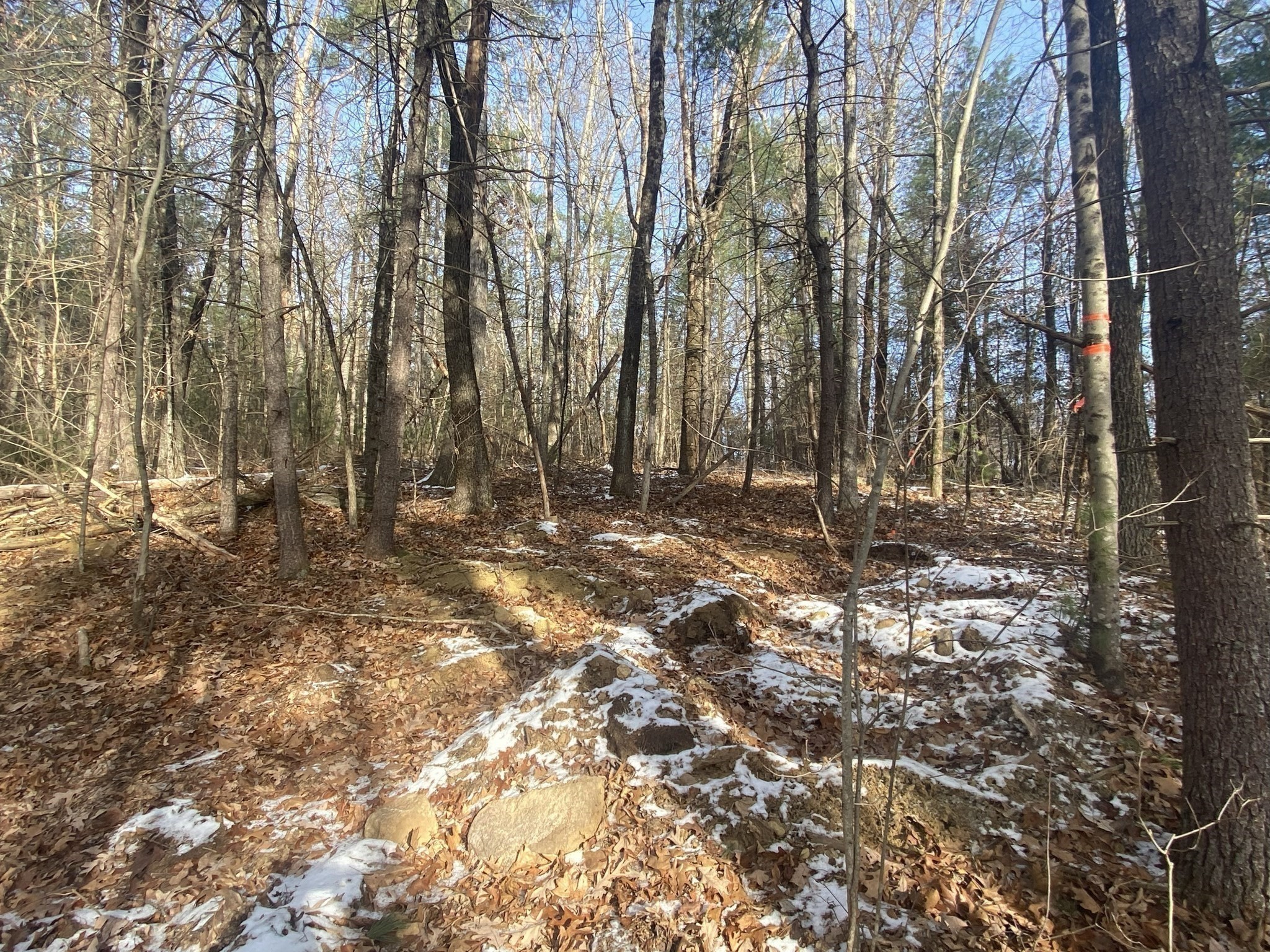 121 & Lt12 Sturbridge Rd Property Photo 4