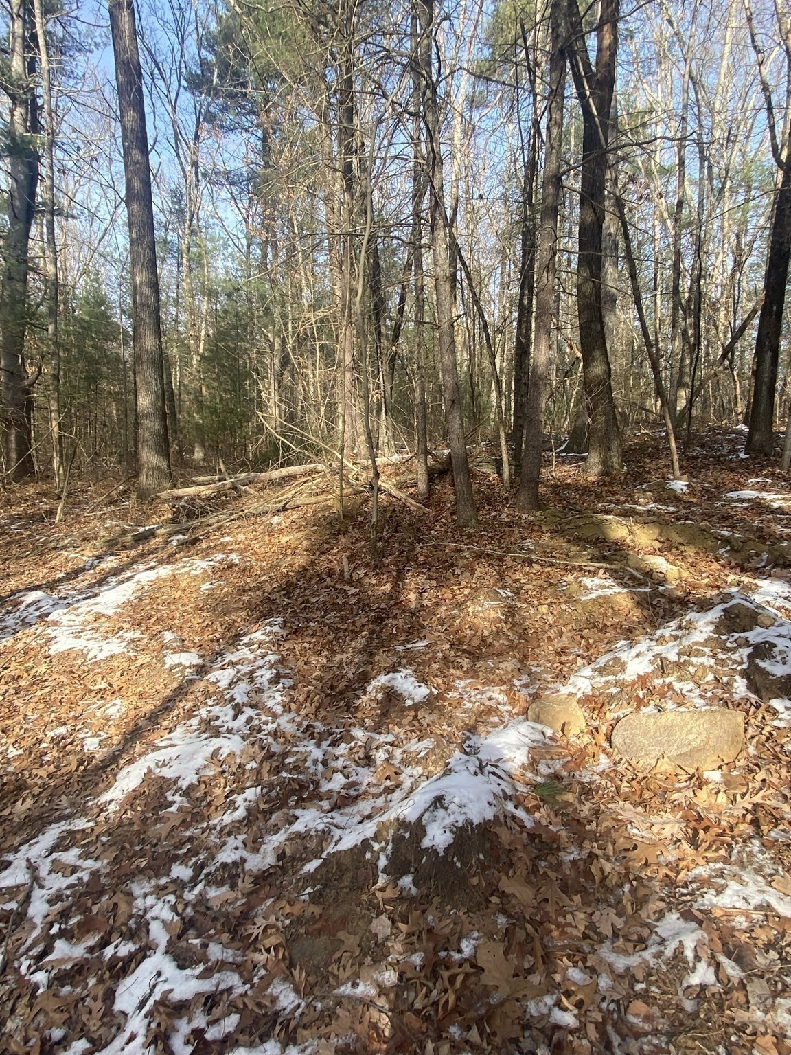 121 & Lt12 Sturbridge Rd Property Photo 11