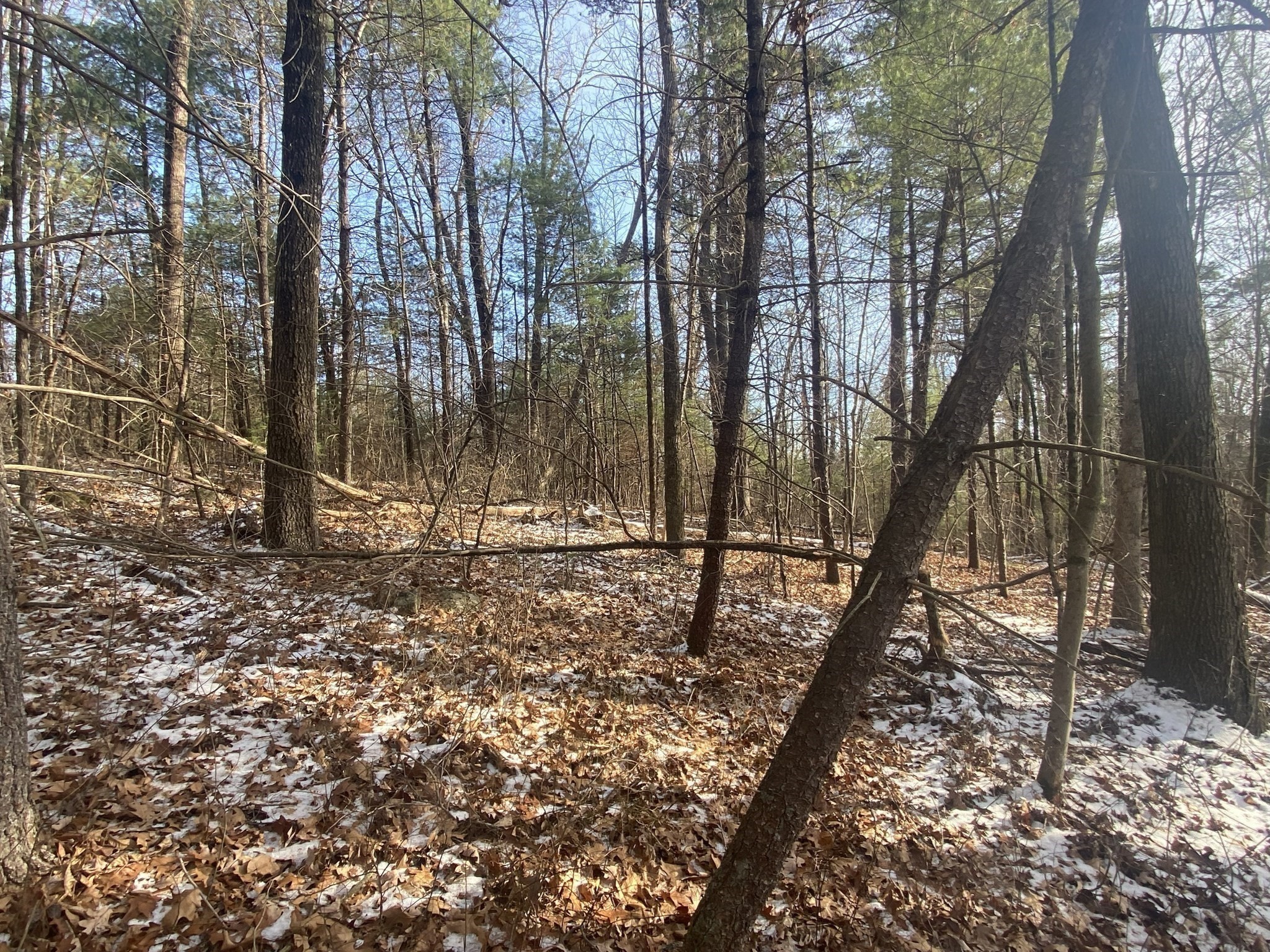 121 & Lt12 Sturbridge Rd Property Photo 12