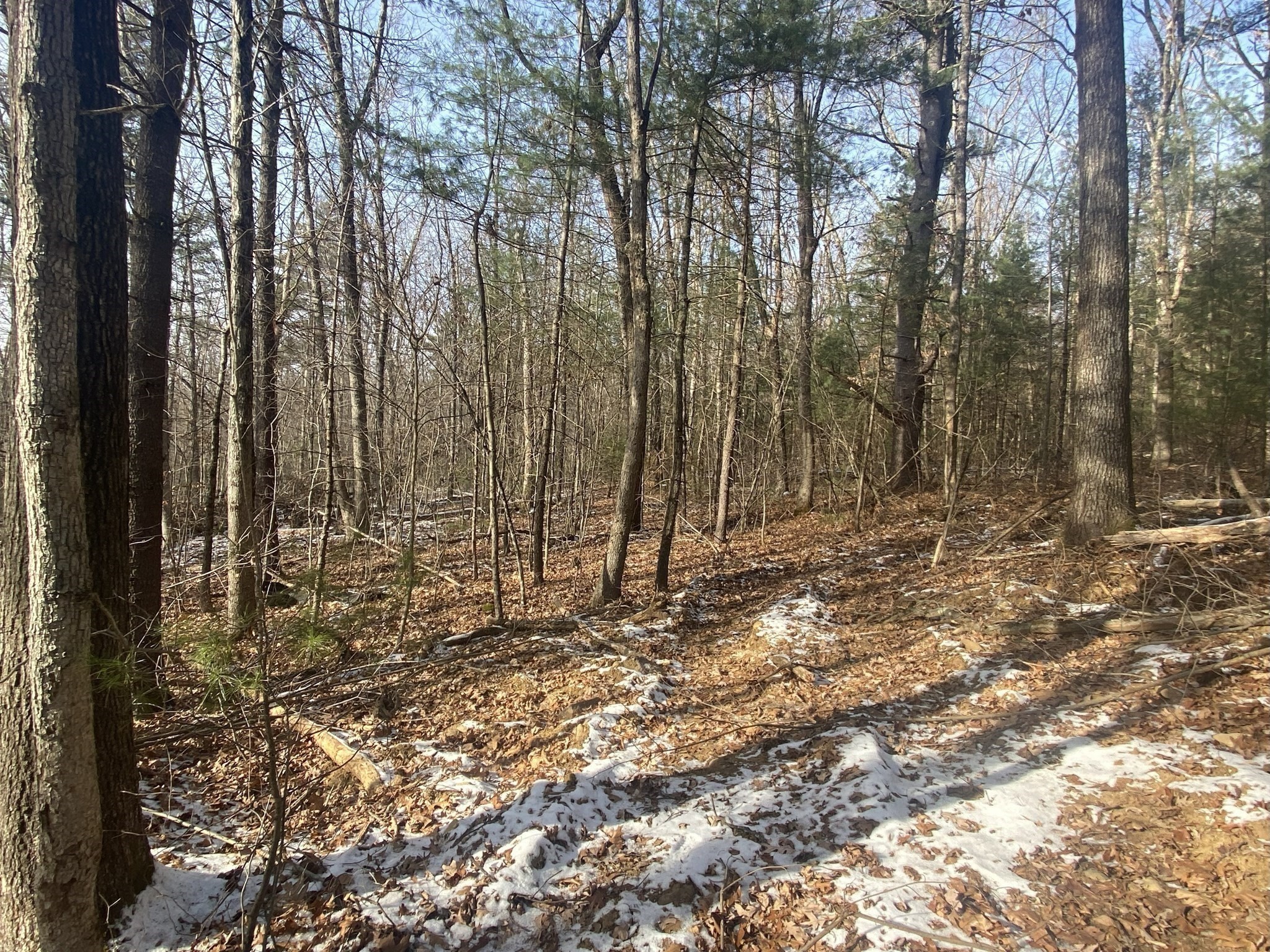 121 & Lt12 Sturbridge Rd Property Photo 13