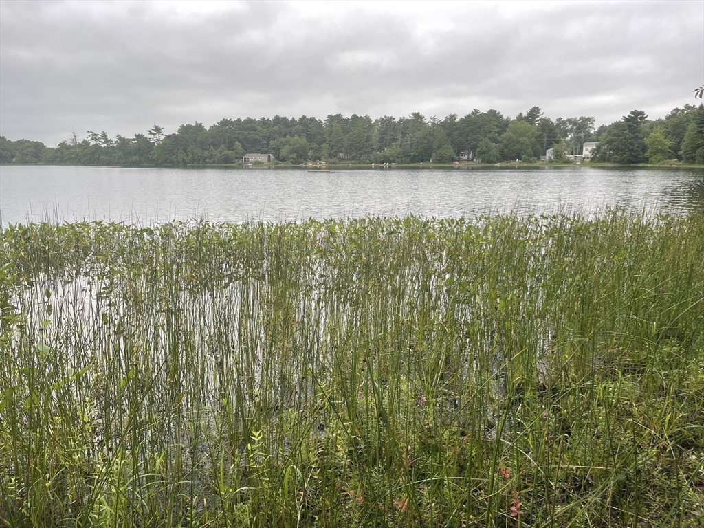 11 + 13 Blackmore Pond Circle Property Photo 11