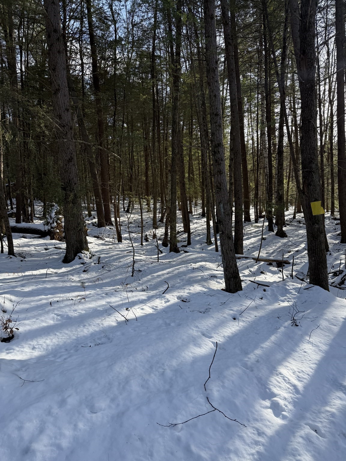 0 Four Mile Brook Rd Property Photo 2