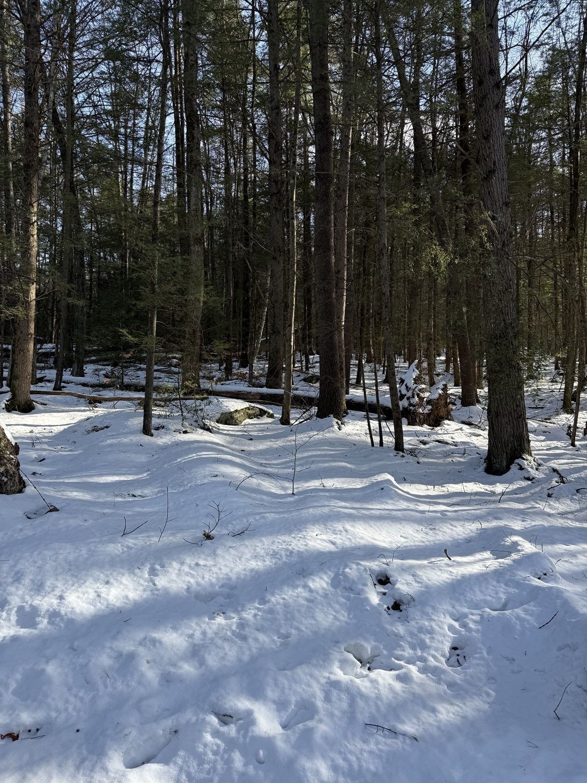 0 Four Mile Brook Rd Property Photo 3