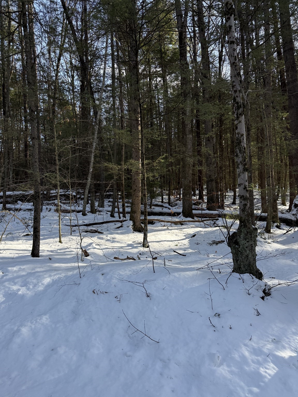 0 Four Mile Brook Rd Property Photo 4